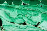 Flowery Polished Malachite Specimen - DR Congo #360797-1